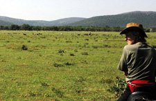 South Africa-The Cape-The Grand Western Cape Ride